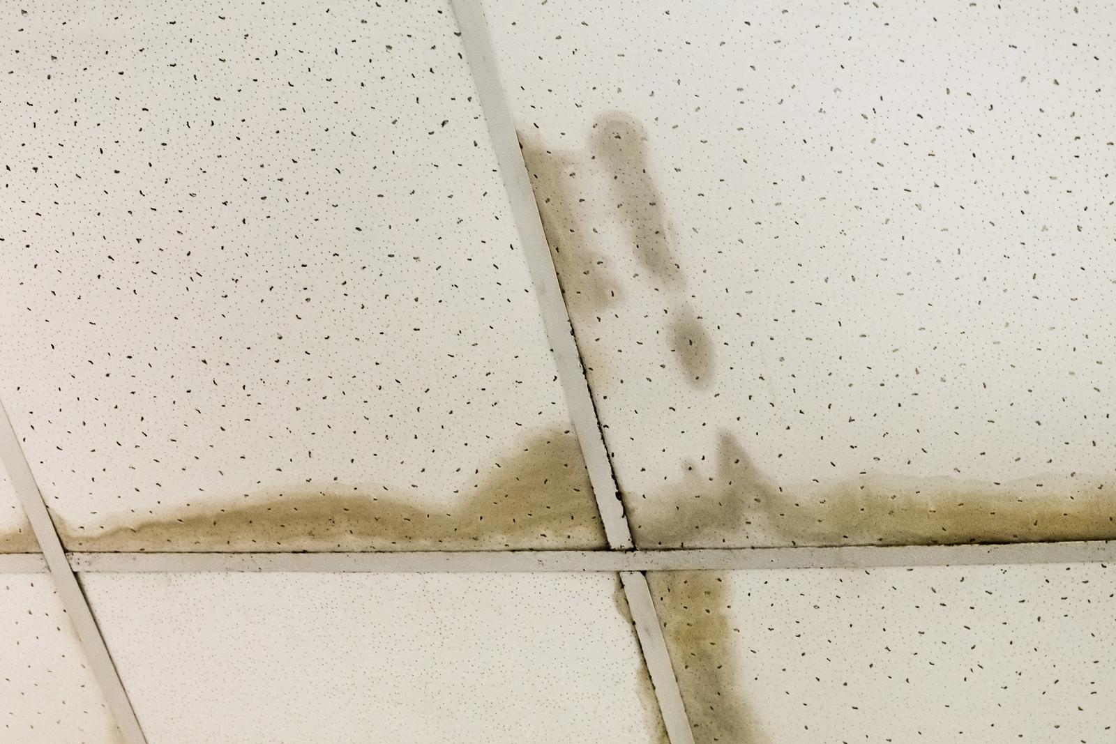 Leaking ceiling, old dirty water on the roof or flooding of neighbors, ceiling repair.